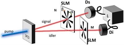 High-Dimensional Entanglement of Photonic Angular Qudits